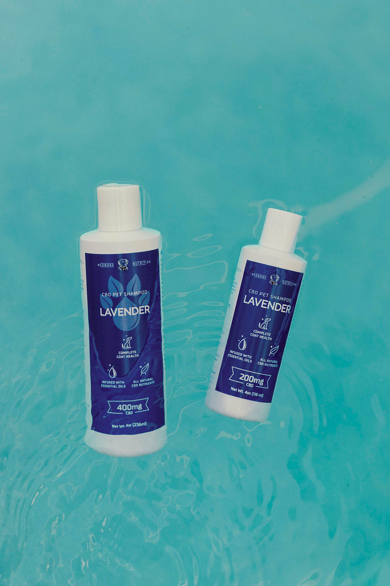 Hemp Shampoo For Dogs, Lavender Scented Redbone Nutrition