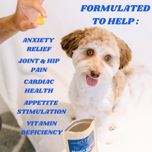 Load image into Gallery viewer, Organic Hemp Multivitamins 400mg For Dogs | Peanut Butter Pumpkin - Relax 
