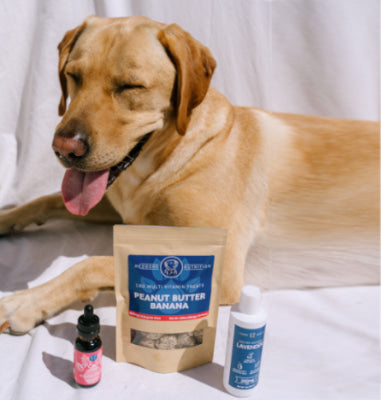 Dog and Dogs Hemp Product