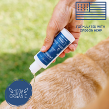 Load image into Gallery viewer, Organic Hemp Shampoo 400mg For Dogs | Lavender 
