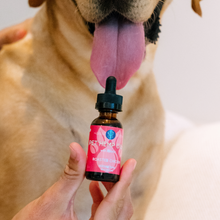 Load image into Gallery viewer, Organic Hemp Oil 400mg For Dogs | Roasted Chicken - Play 
