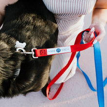 Load image into Gallery viewer, Made in USA Redbone Leash | High Quality Durable 
