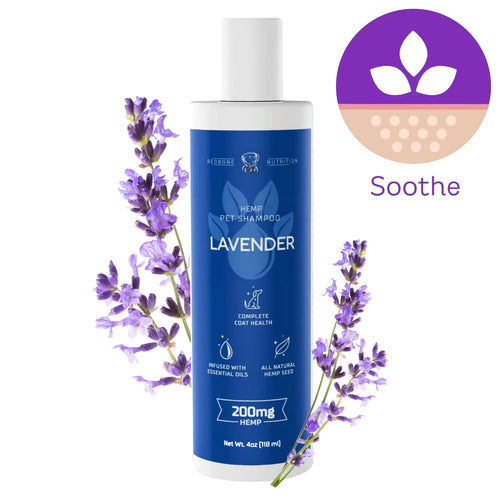 Organic Hemp Shampoo 4oz For Dogs | Lavender - Soothe
